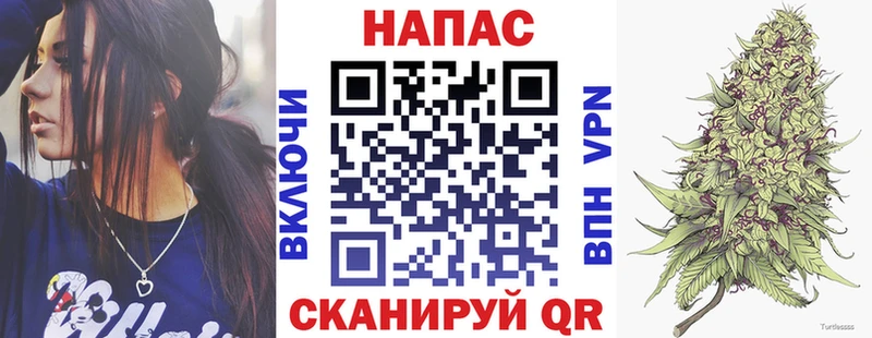Купить наркотики Болотное Галлюциногенные грибы  Меф  ГАШИШ  АМФЕТАМИН 