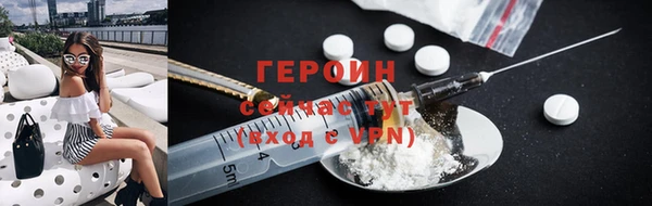 сатива Беломорск