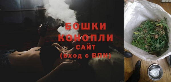 индика Белоозёрский