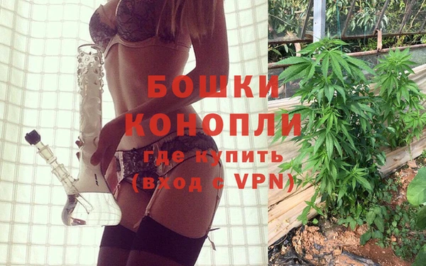 индика Белоозёрский