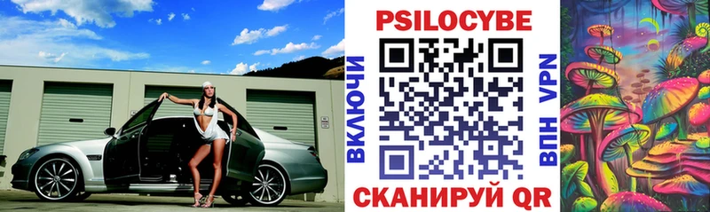 магазин продажи   Болотное  Галлюциногенные грибы Psilocybe 